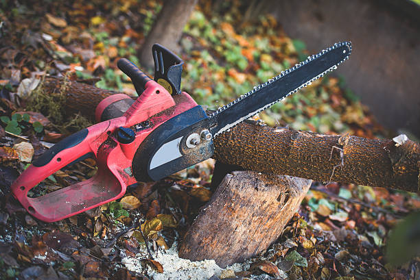 Best Aeration Services  in Lden, MA